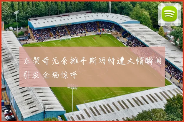 东契奇无奈摊手斯玛特遭大帽瞬间引发全场惊呼